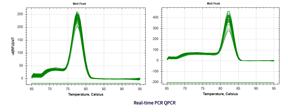 Real-time PCR QPCR (2).png