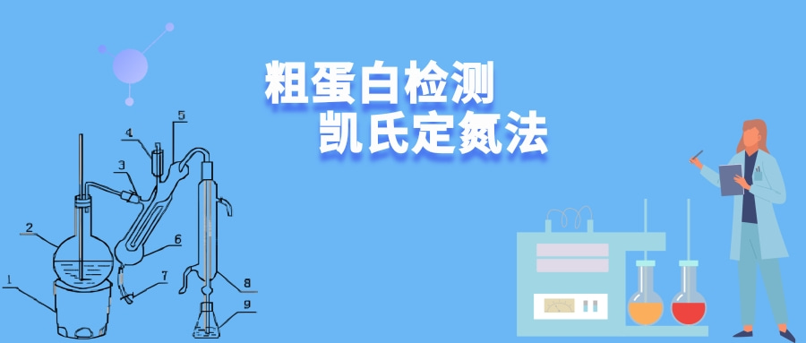 粗蛋白检测---​ 凯氏定氮法