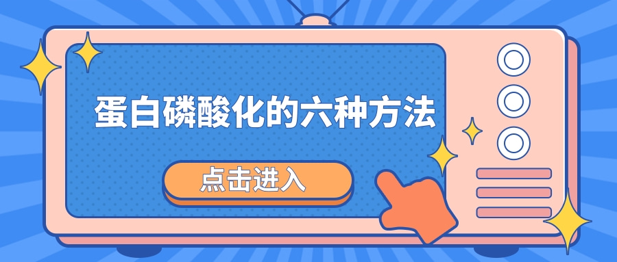 检测蛋白磷酸化的六种方法及其优缺点