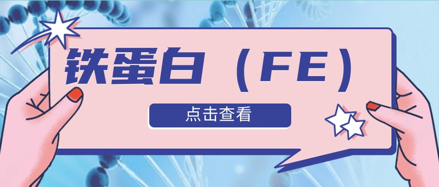 铁蛋白（FE）检测