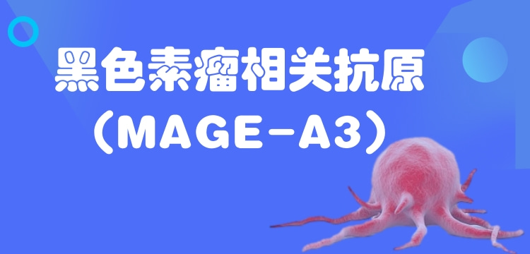 黑色素瘤相关抗原(MAGE-A3)