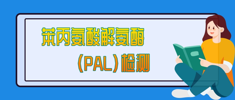 苯丙氨酸解氨酶（PAL）检测|茁彩生物