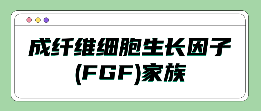 成纤维细胞生长因子(FGF)家族|茁彩生物