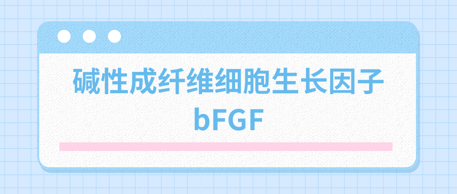 碱性成纤维细胞生长因子——bFGF|茁彩生物