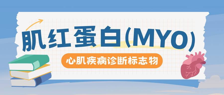 心肌疾病诊断标志物-肌红蛋白(MYO)