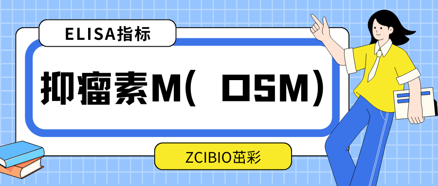 抑瘤素M（OSM）|ELISA指标