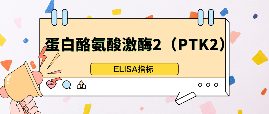 蛋白酪氨酸激酶2（PTK2）|ELISA指标