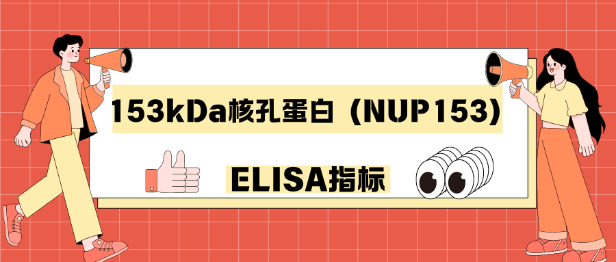 153kDa核孔蛋白（NUP153）|ELISA指标