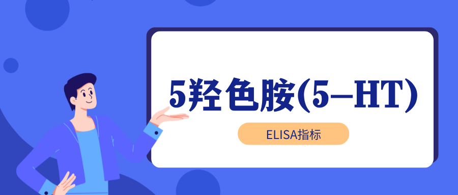 5羟色胺(5-HT)|ELISA指标