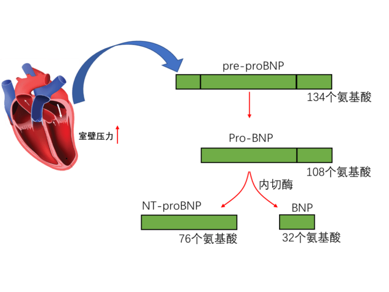 未命名 (1).png