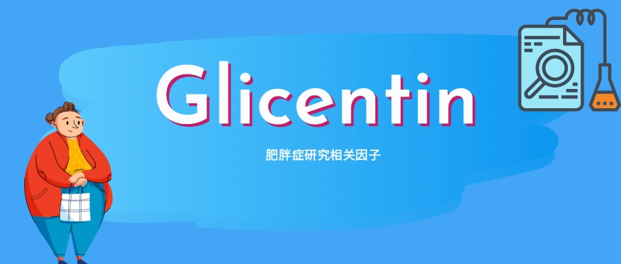 肥胖症研究相关因子之Glicentin