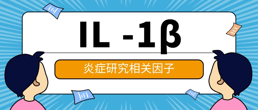炎症研究相关因子之IL -1 β