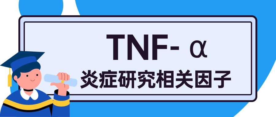 炎症研究相关因子之 TNF- α