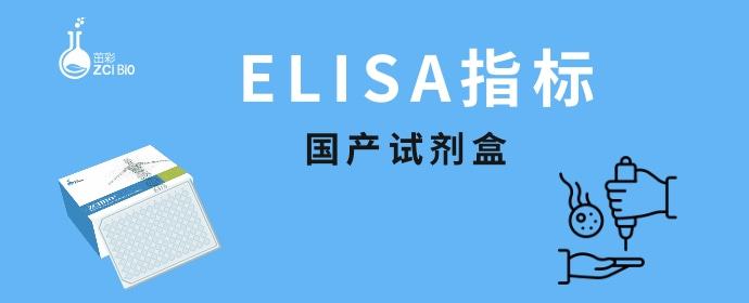 炎症研究相关因子之IL-4