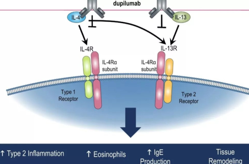 1765854402194646.png 图片1.png
