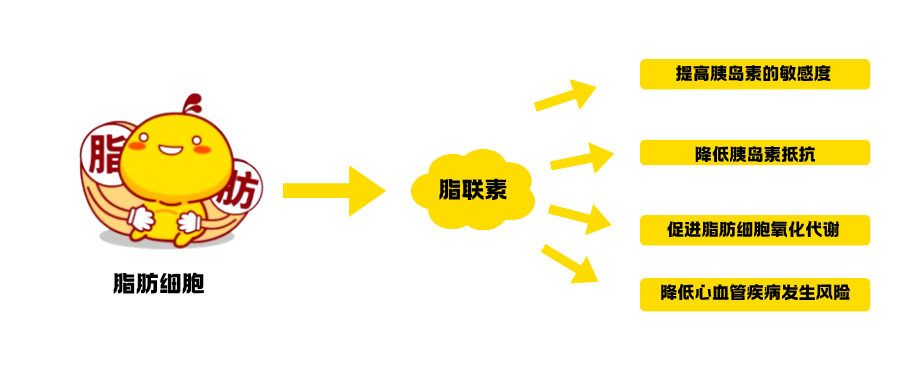 1775722319442244.png 肥胖症研究相关因子之AdiponectinAcrp3.png